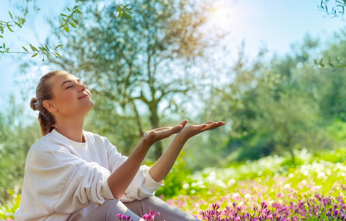 Connecting Heaven and Earth – the Essence of Trees