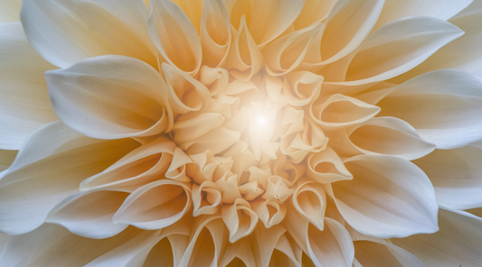 Essences for Joy and Inner Peace