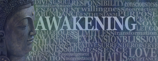 How Shall We Live? In this precious present moment...