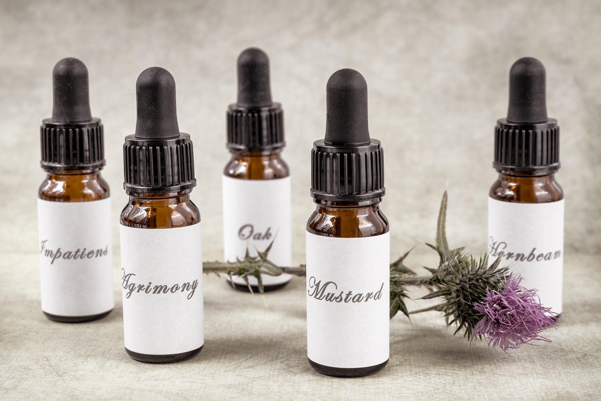 Top 5 Flower Essences for Stress Relief Pacific Essences