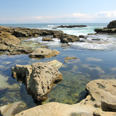 Five Elements Retreat