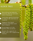 Alder Tree Essence