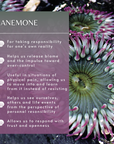 Anemone Sea Essence