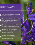 Blue Camas Flower Essence