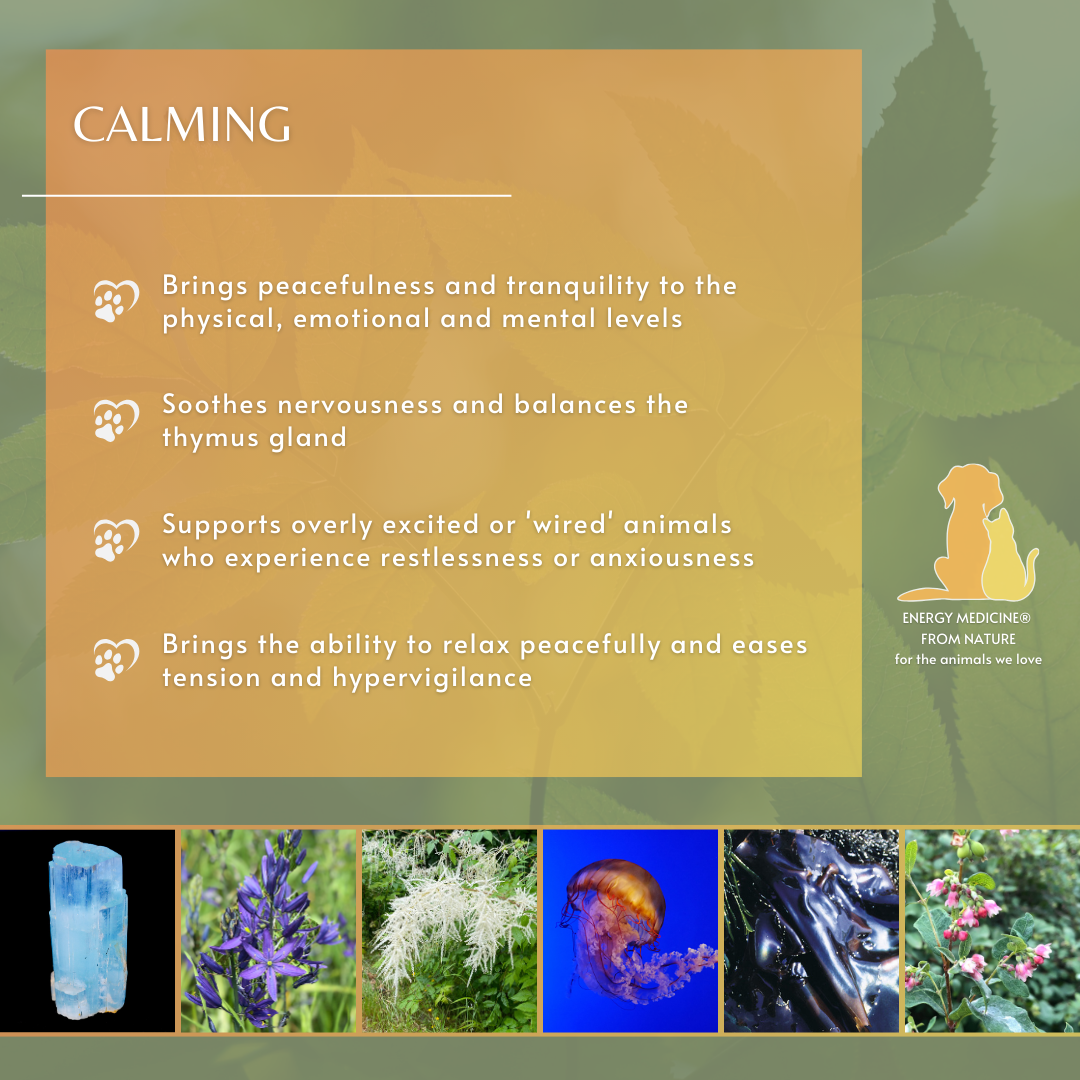 Calming | Animal Essence
