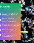 Diatoms Sea Essence