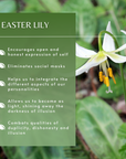 Easter Lily Flower Essence