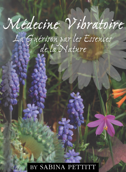 Energy Medicine (French Edition - PDF eBook) | Pacific Essences |