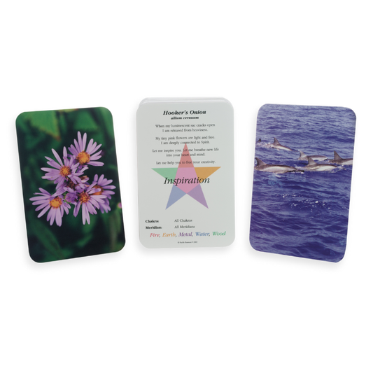 Energy Medicine Cards