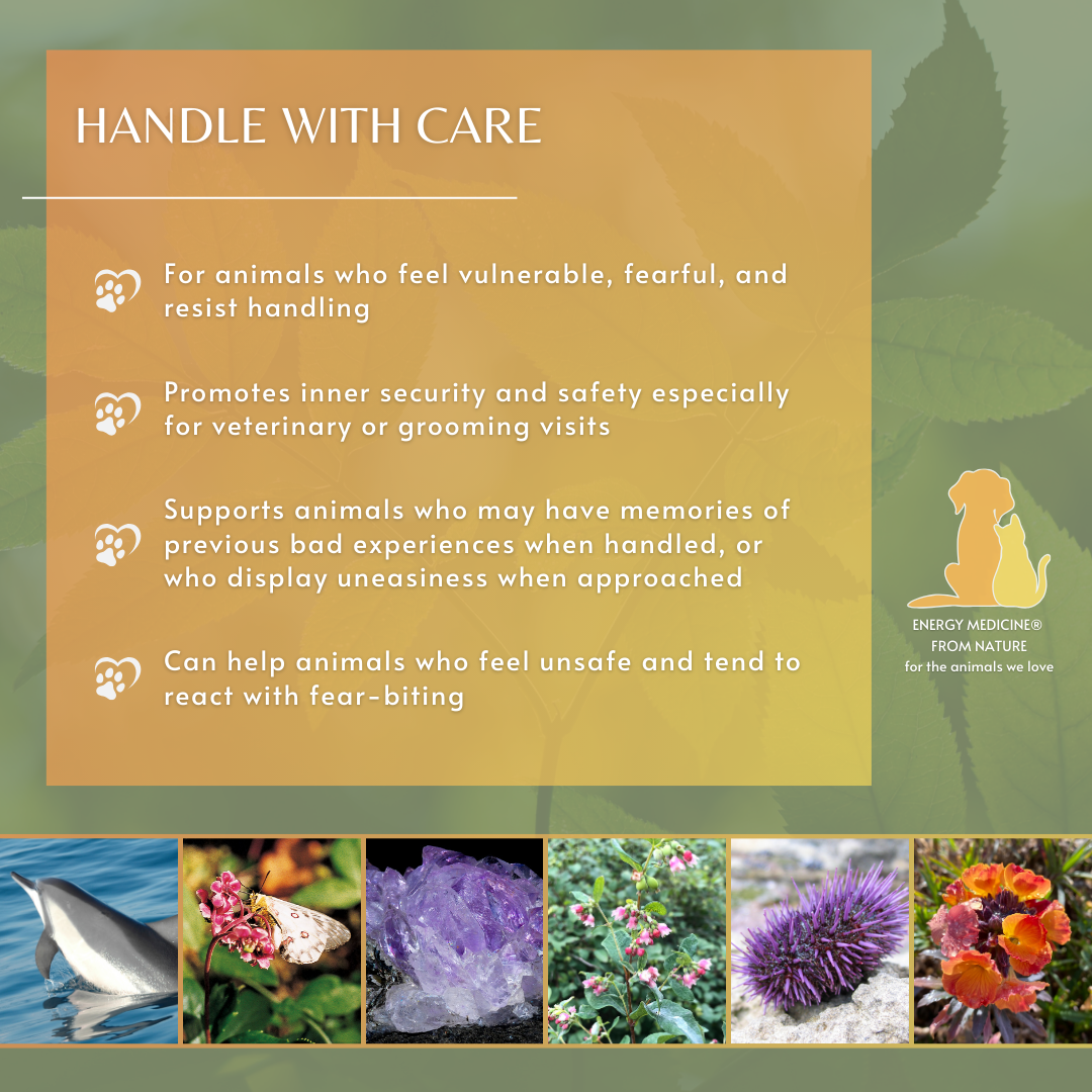 Handle with Care | Animal Essence