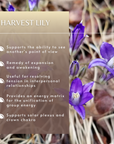 Harvest Lily Flower Essence