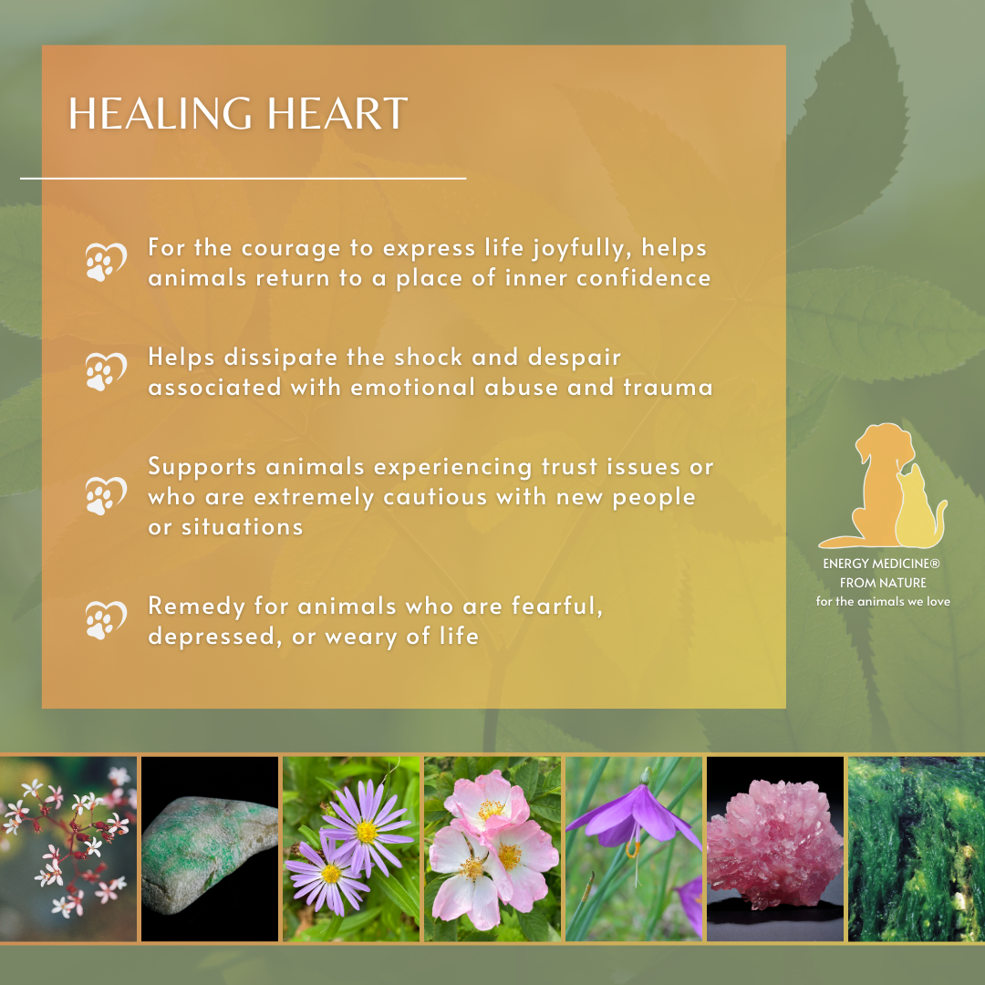 Healing Heart | Animal Essence