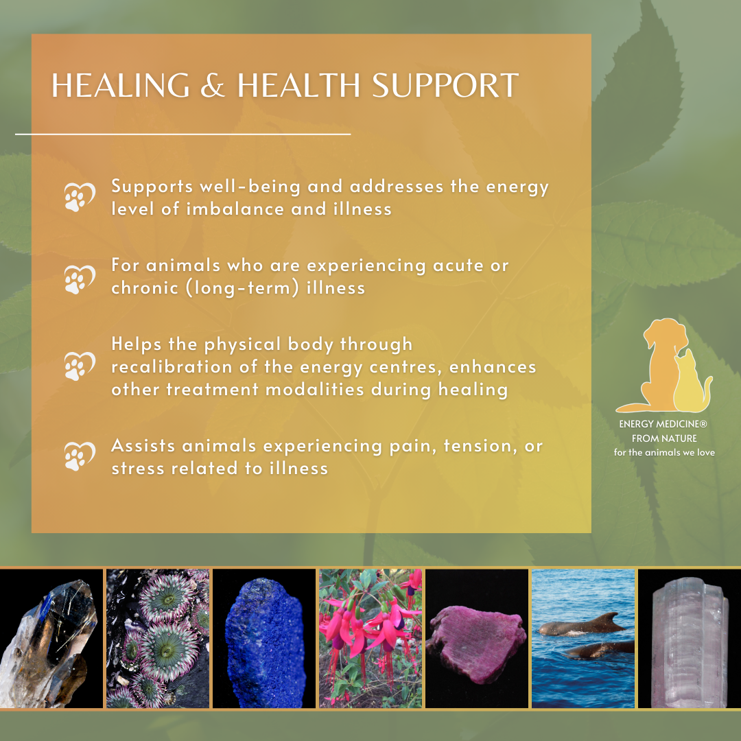 Healing & Health Support | Animal Essence