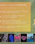 Healing & Health Support | Animal Essence