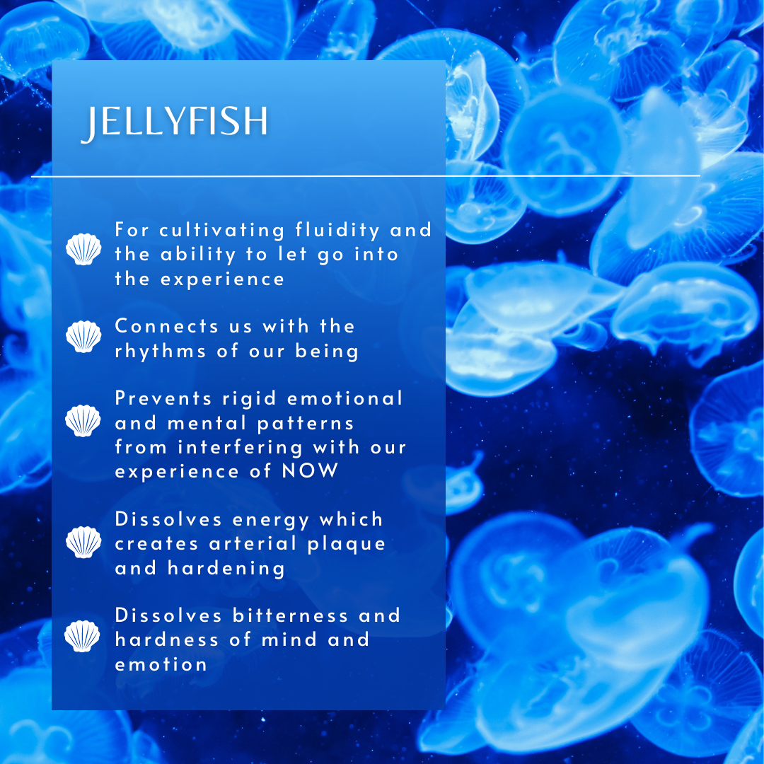 Jellyfish | Sea Essence