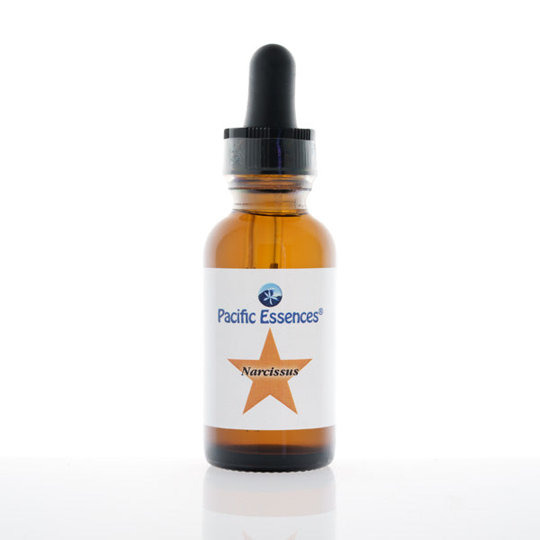 Narcissus Flower Essence – Pacific Essences