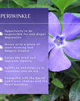 Periwinkle Flower Essence