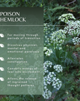 Poison Hemlock Flower Essence