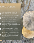 Sand Dollar Sea Essence