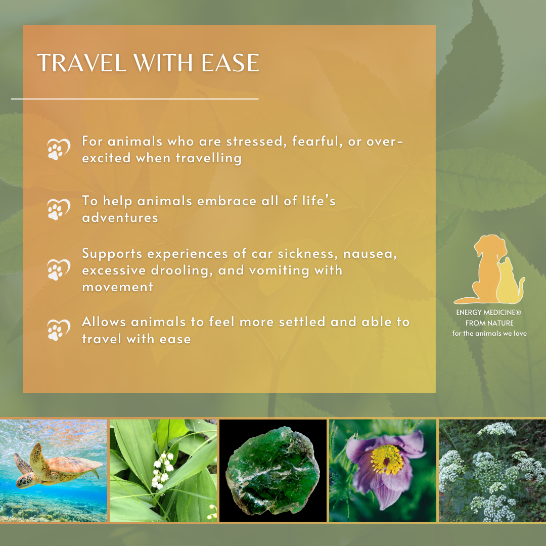 Travel with Ease | Animal Essence