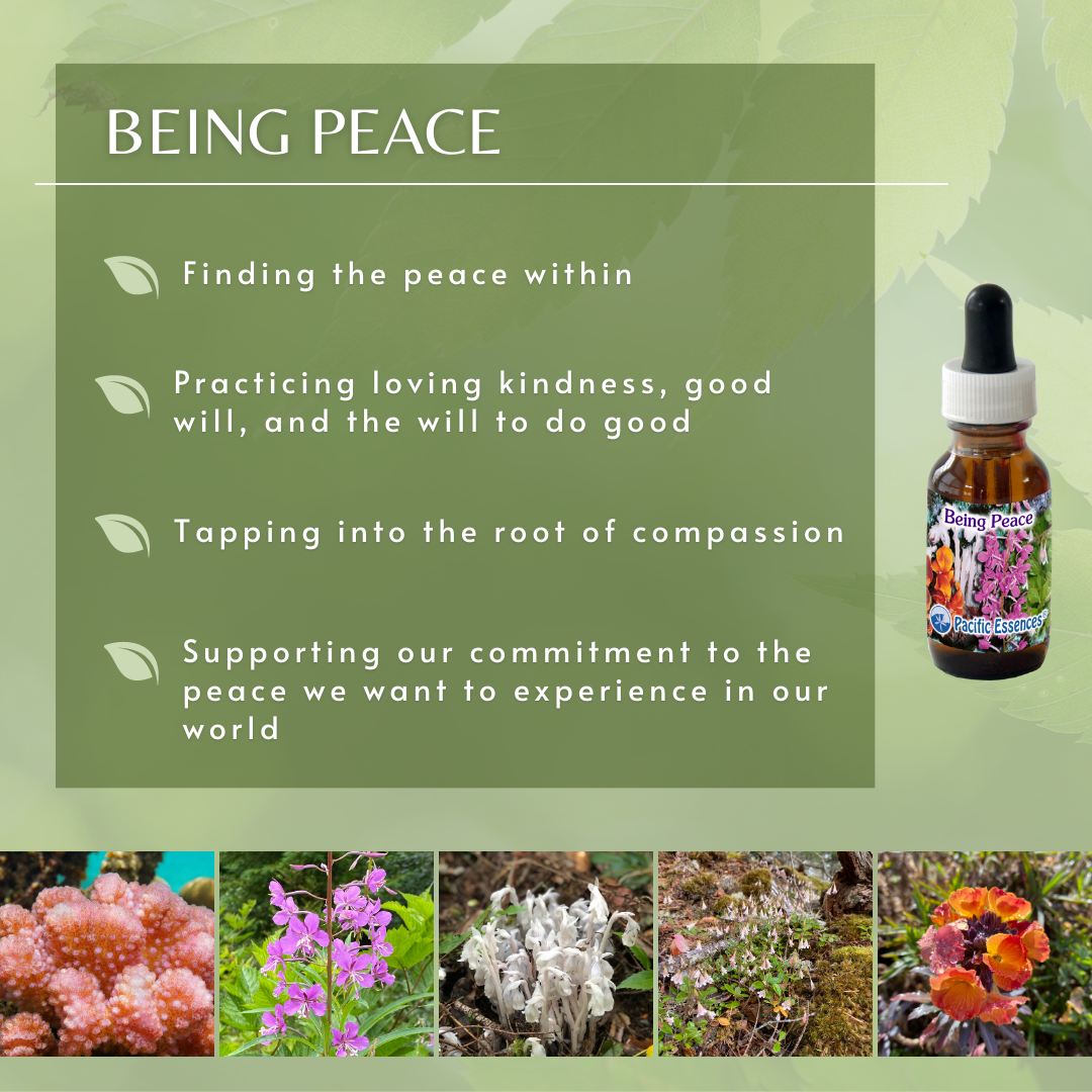 Being Peace | Combination Essence