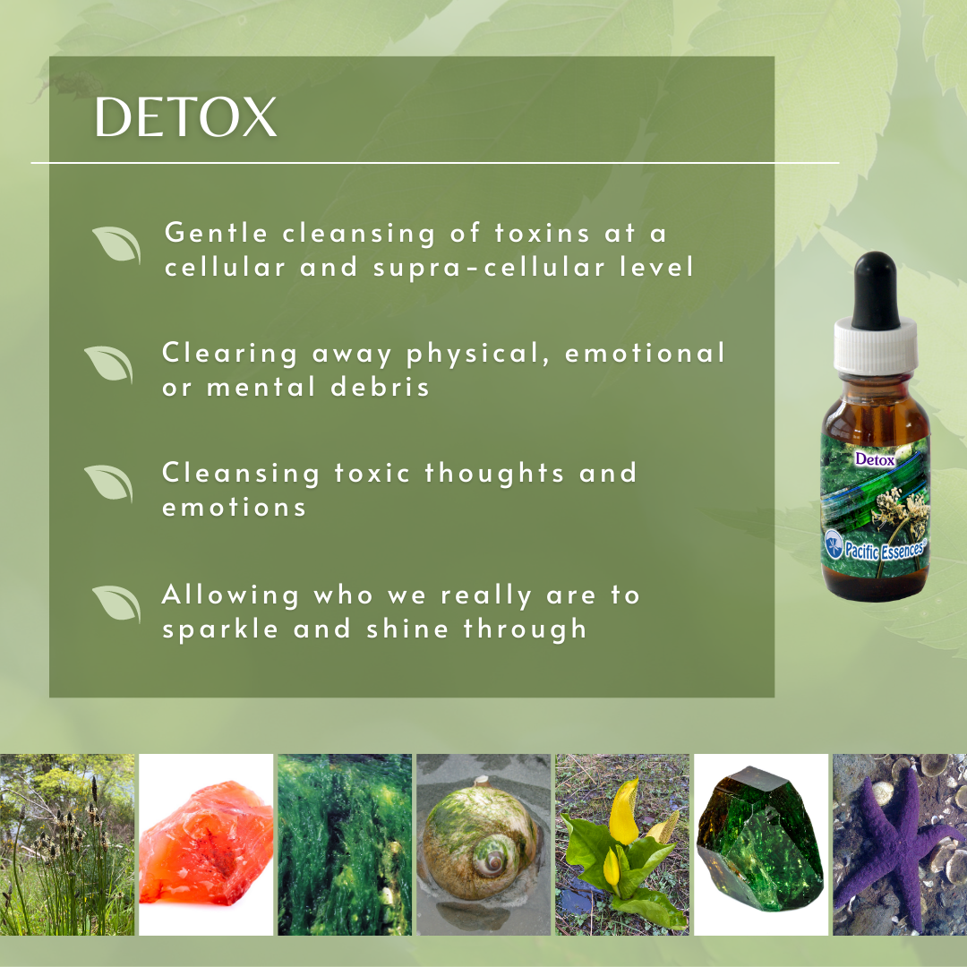 Detox | Combination Essence