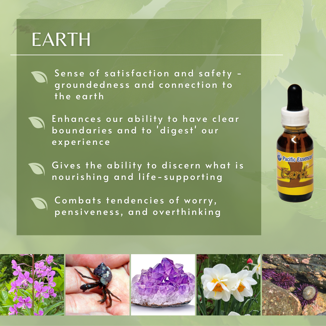 Earth Element | Combination Essence