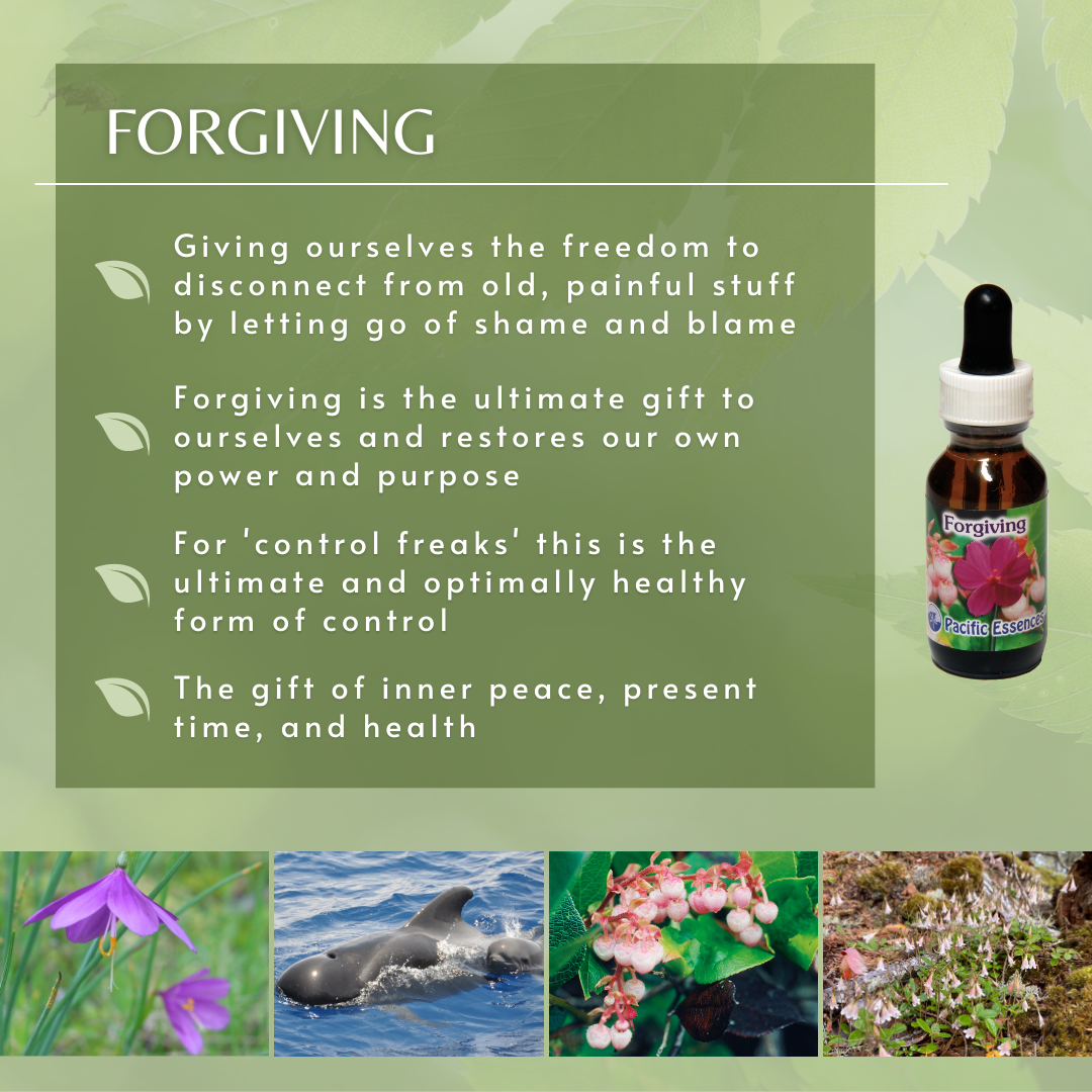 Forgiving | Combination Essence