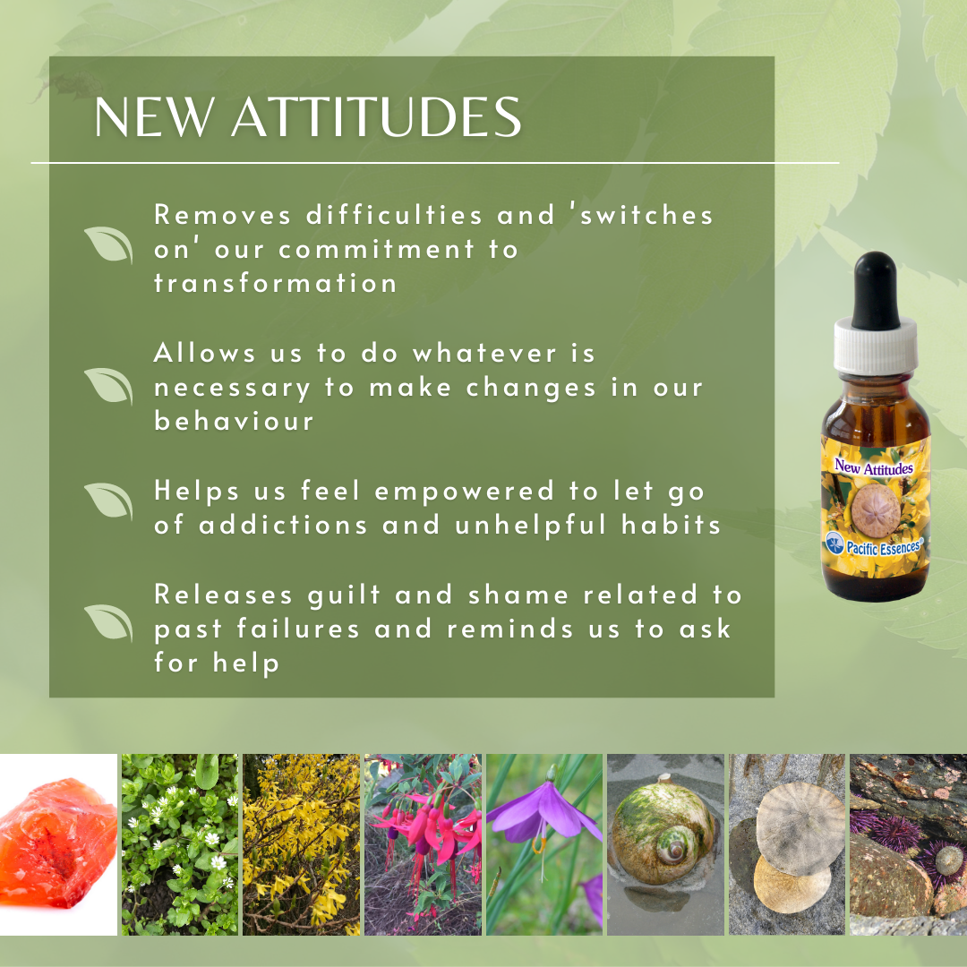 New Attitudes | Combination Essence