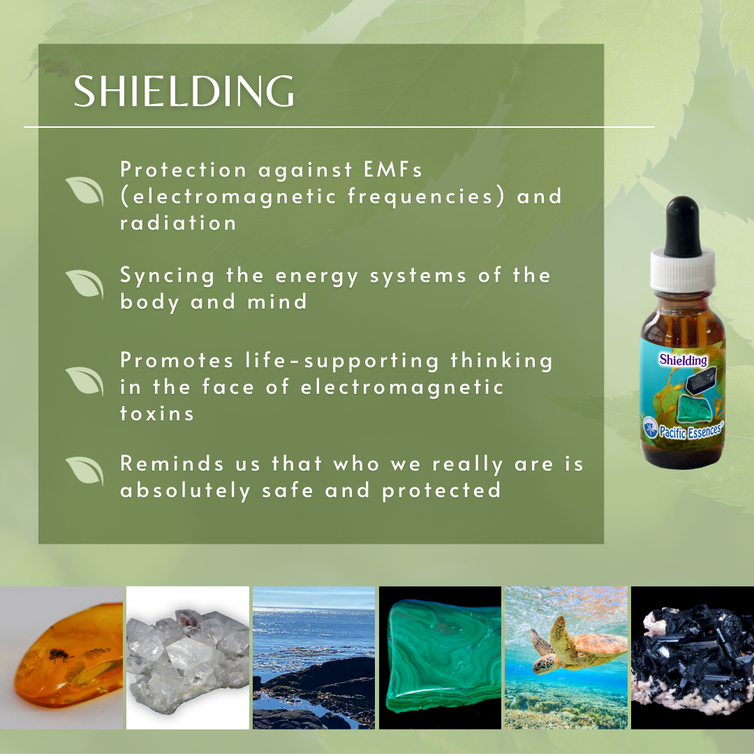 Shielding | Combination Essence