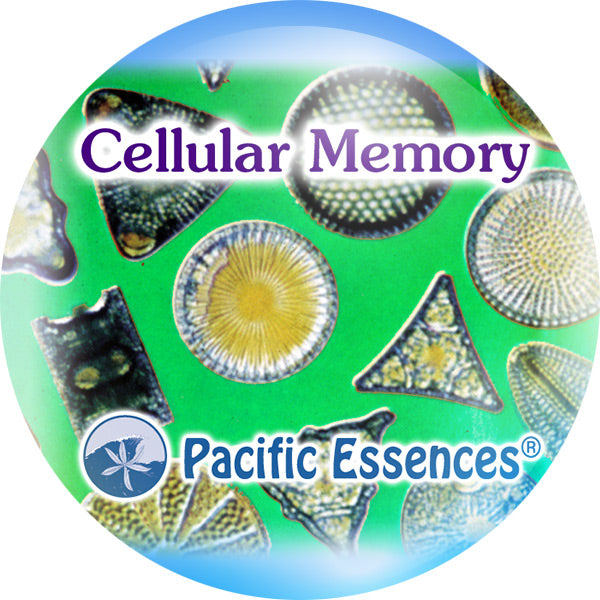 Cellular Memory Pacific Essences