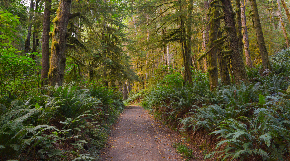 Advocating for Authenticity - A Caution for Customers