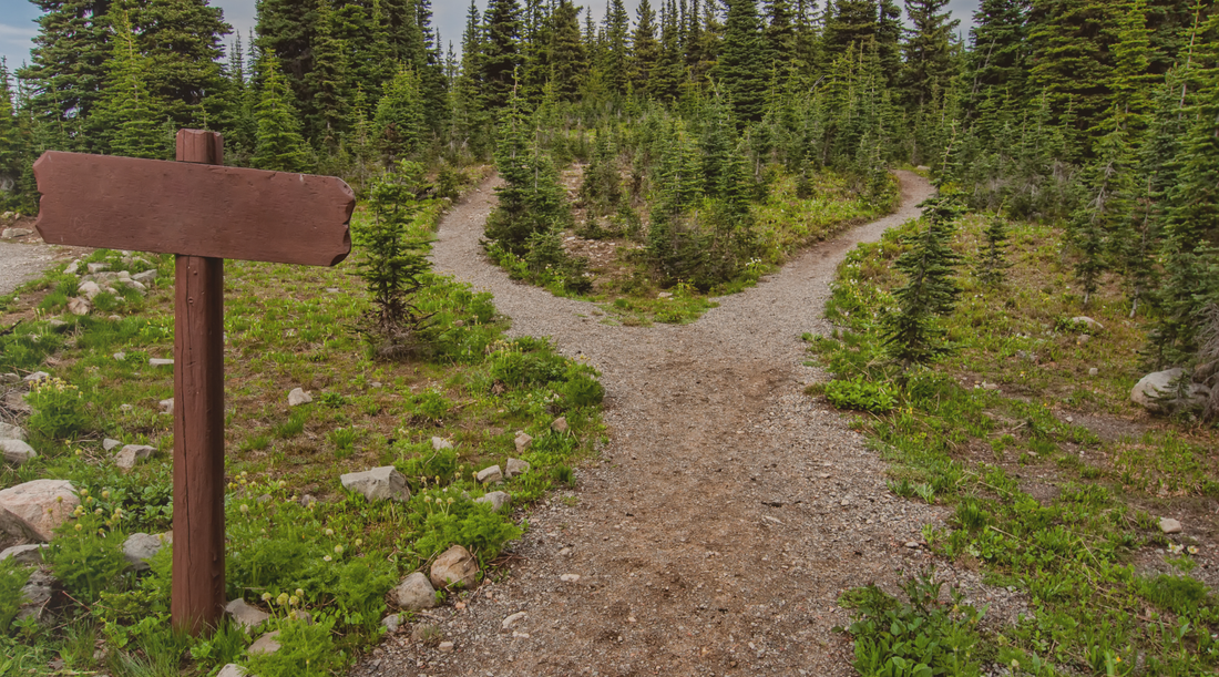 Awaiting Guidance and Following Breadcrumbs