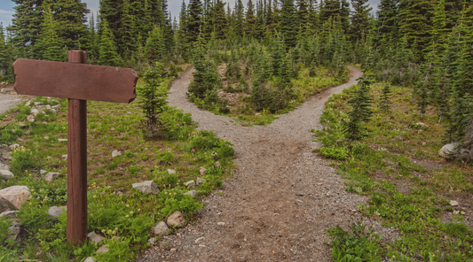 Awaiting Guidance and Following Breadcrumbs