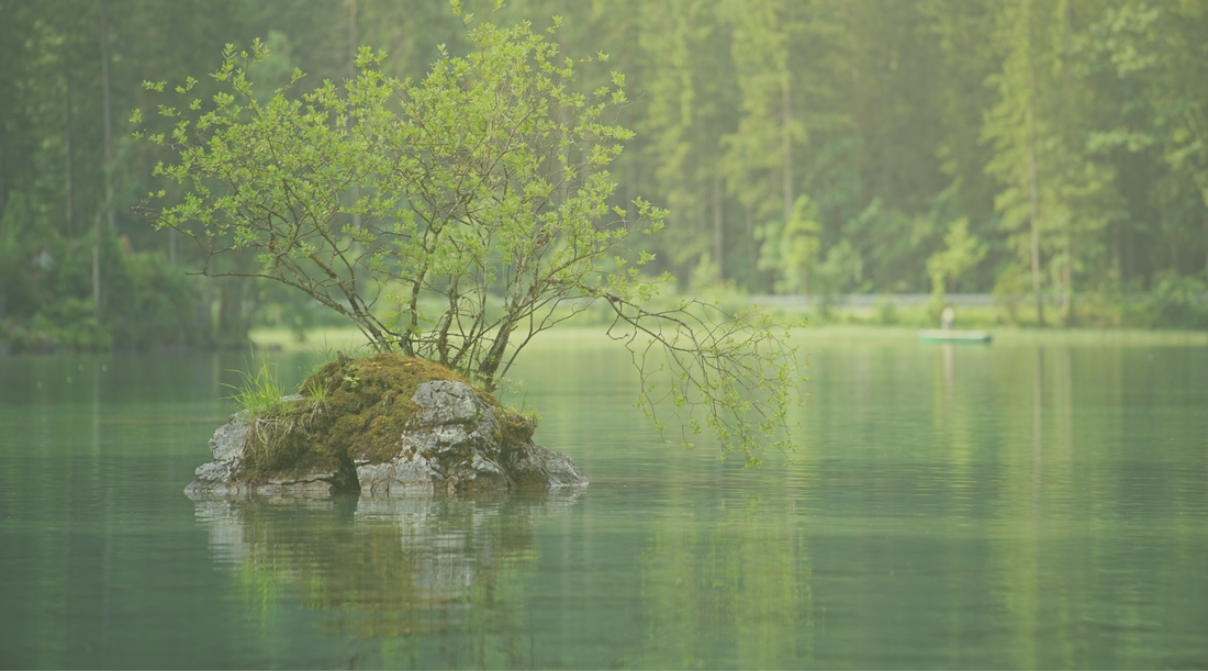 Ease Anxiety with these 9 Essences