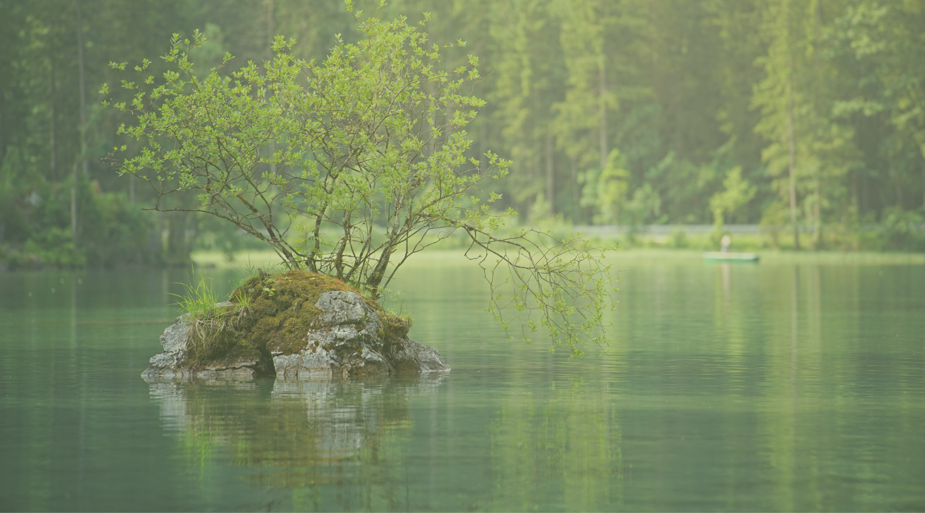 Ease Anxiety with these 9 Essences
