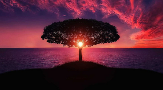 Light from Darkness – A Healing Journey with Infinite Vibrations