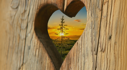 Finding Home in the Heart