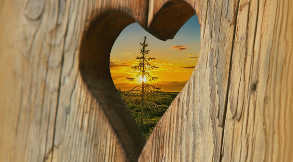 Finding Home in the Heart