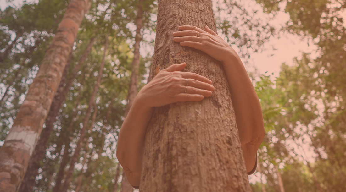 Connecting to the Abundance of Nature