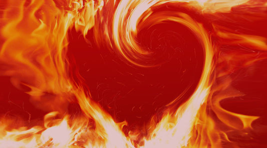 Living Your Passion - Memories, Bucket Lists, and an Incredible Show