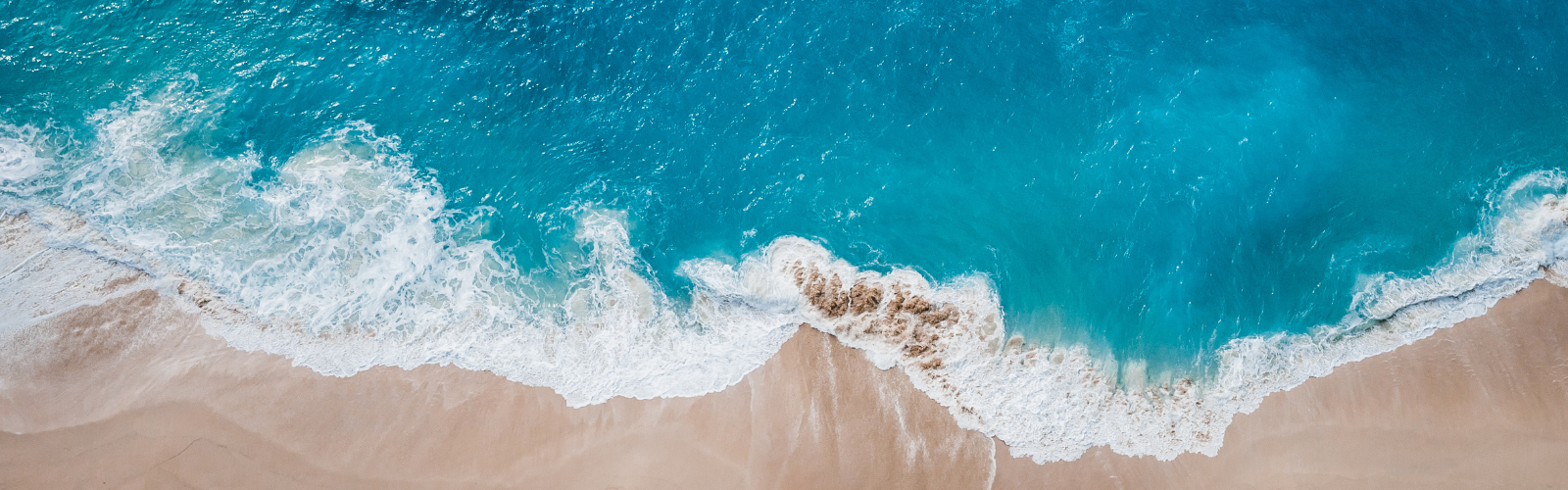 Flowing into Wellbeing - The Profound Power of Sea Essences
