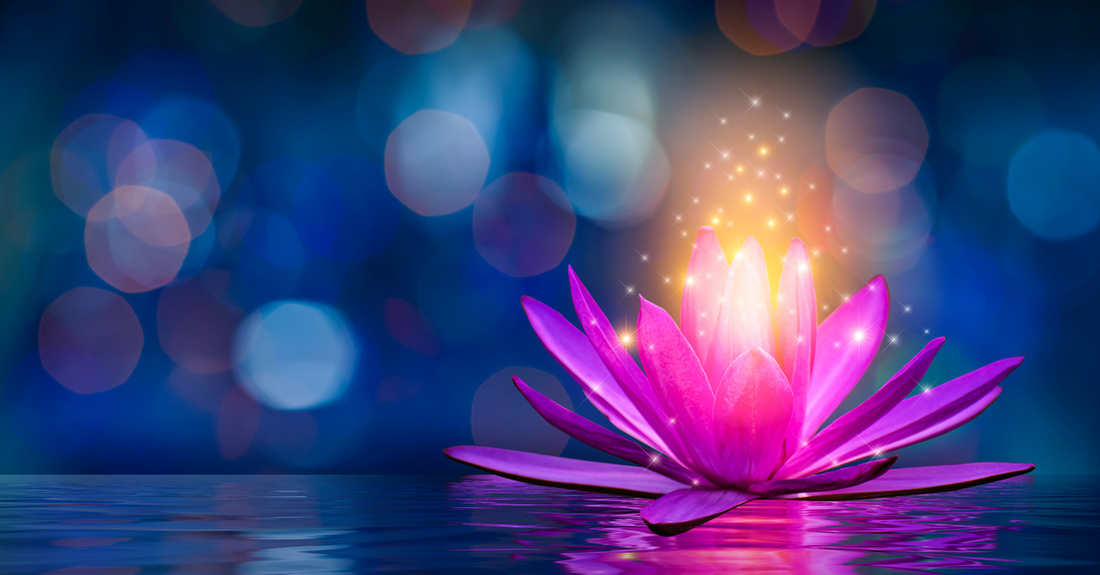 An origin story - Abundance Essence is 30 years old!