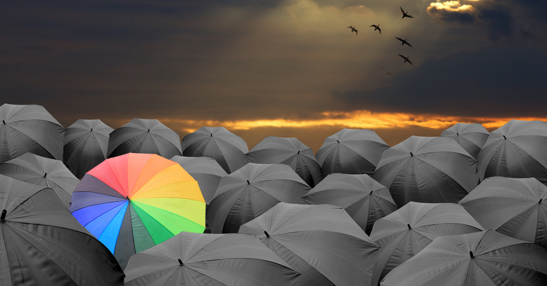 Pacific Essences Blog January 2022 - the Power of Choice