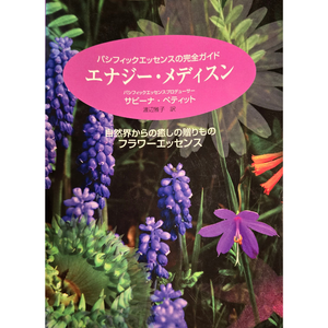 エネルギー医学：自然の王国からの癒し （PDF電子書籍）
