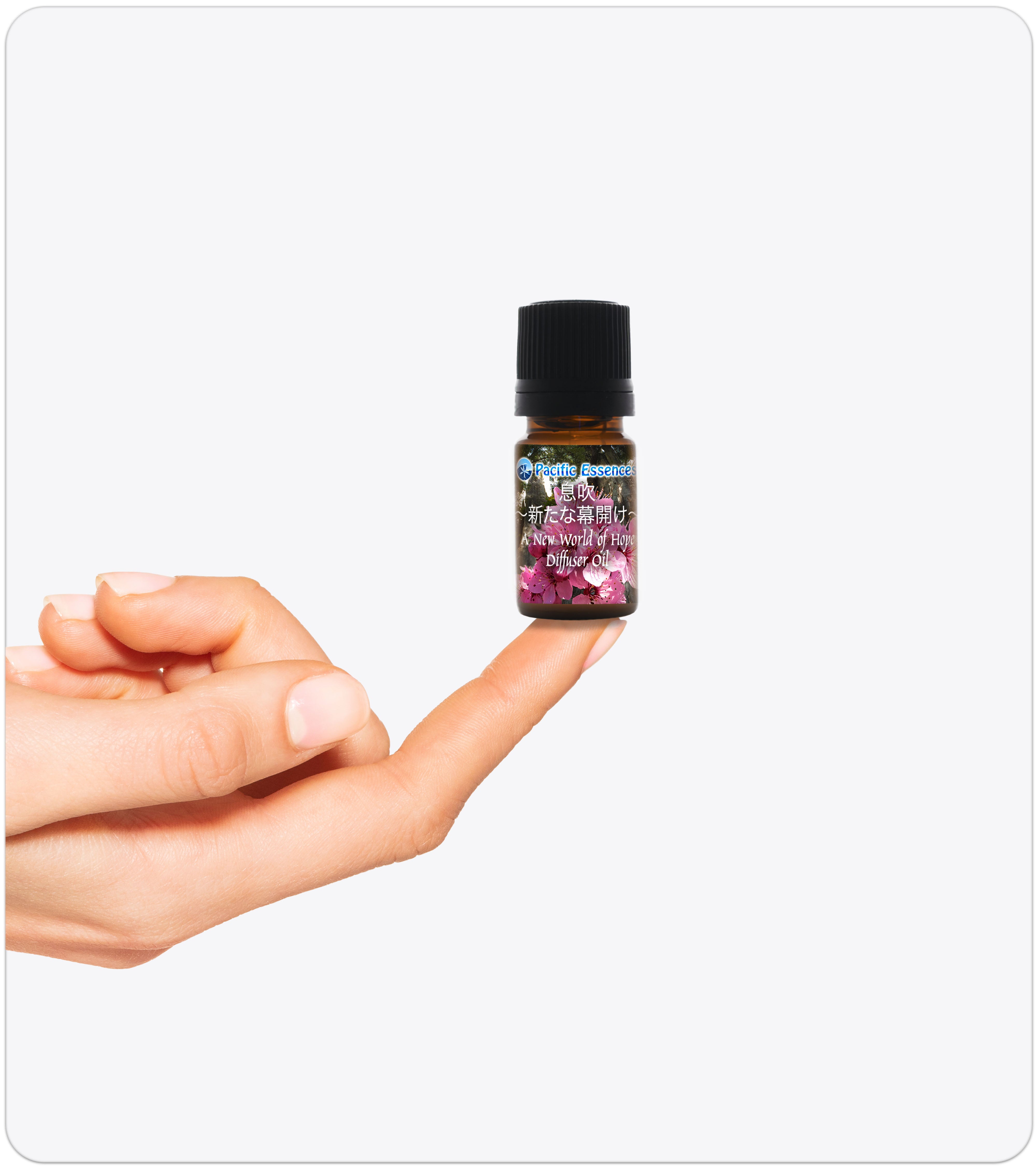 エッセンシャルオイル Pacific Essences Abundance mee x eery Abundance Oil | Energy Essences by Pacific Essences