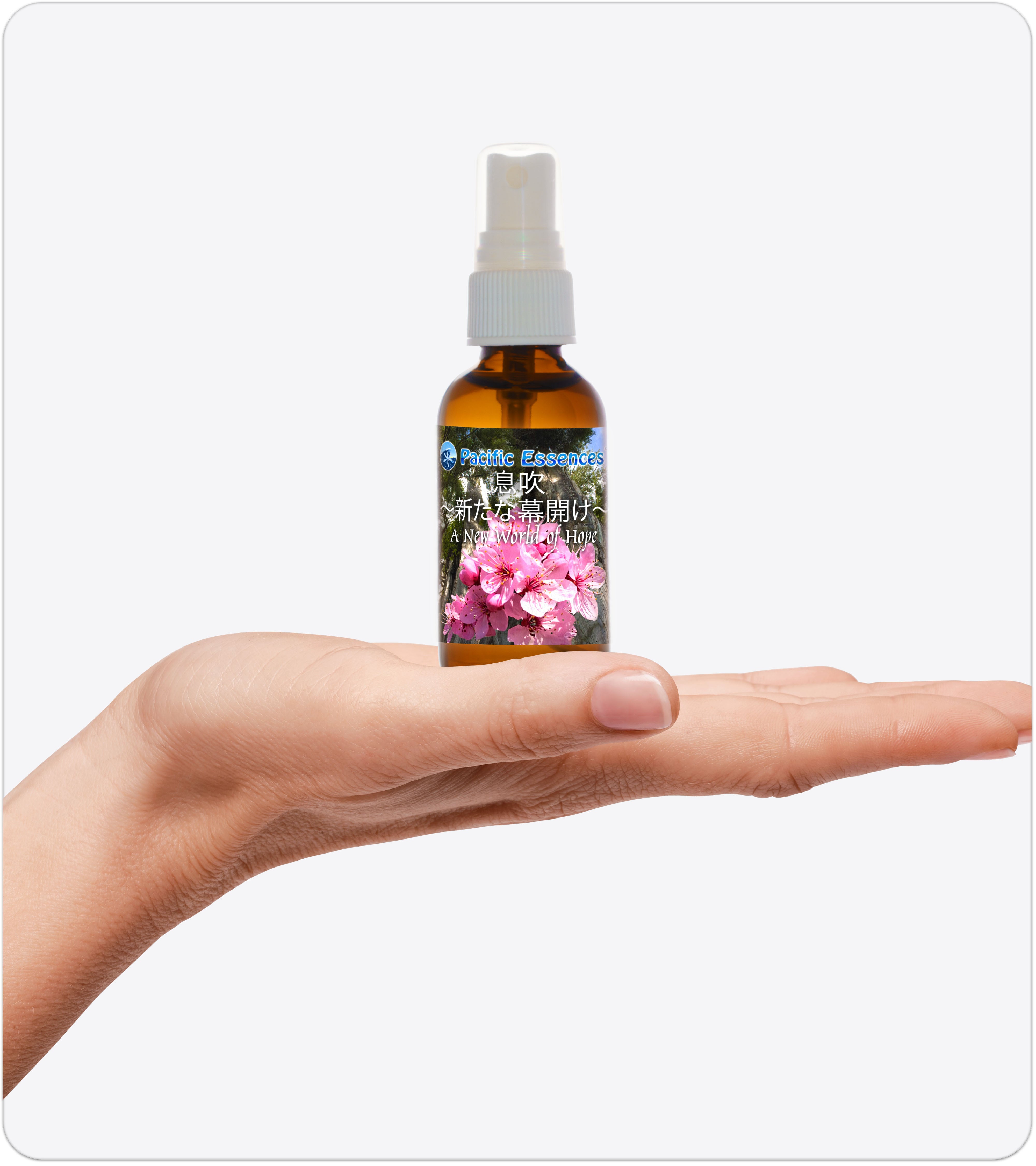 A New World of Hope Spray | Combination Essence | Pacific Essences | Inspiration