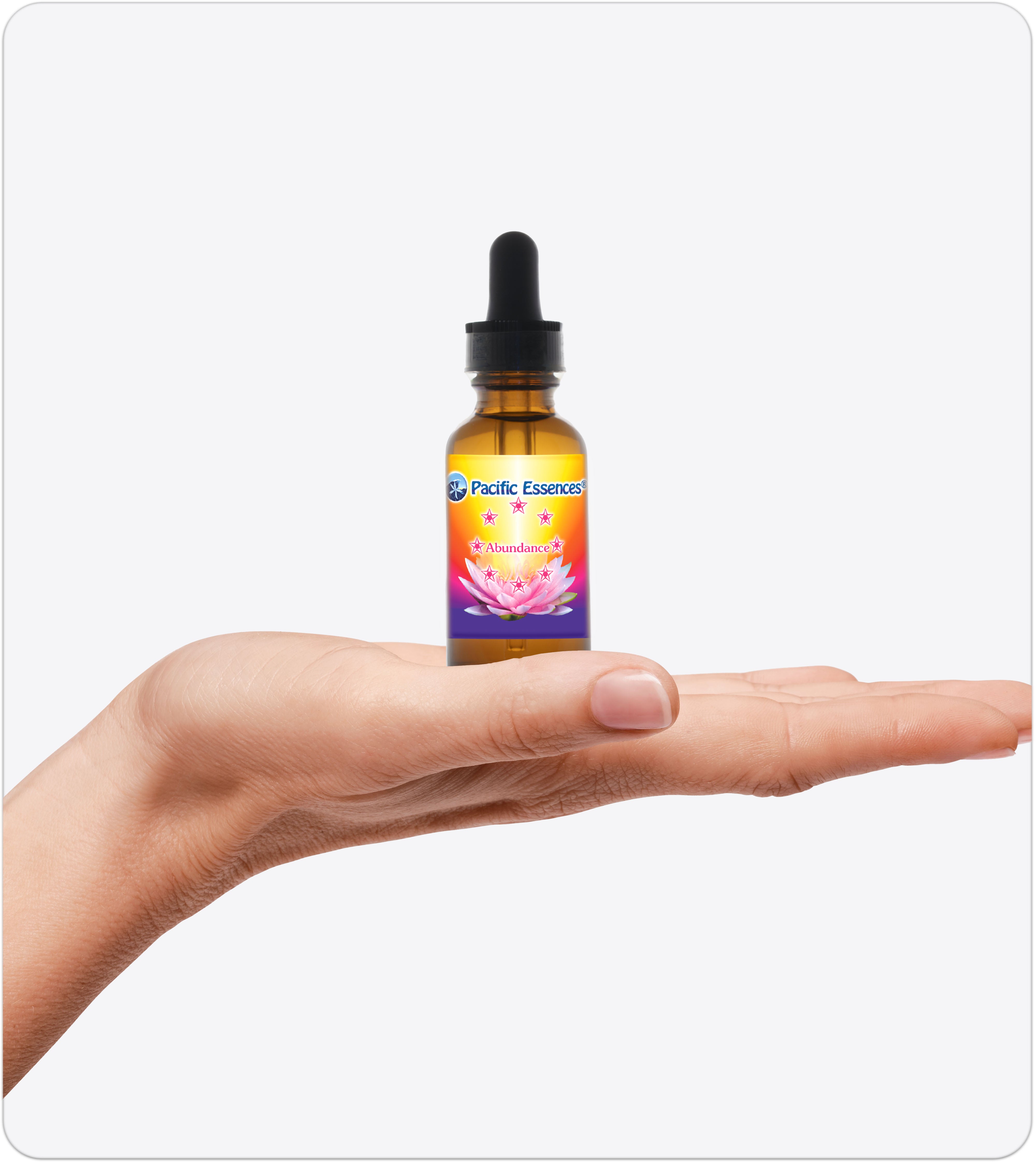 Abundance | Combination Essence | Pacific Essences | Infinite Possibilities