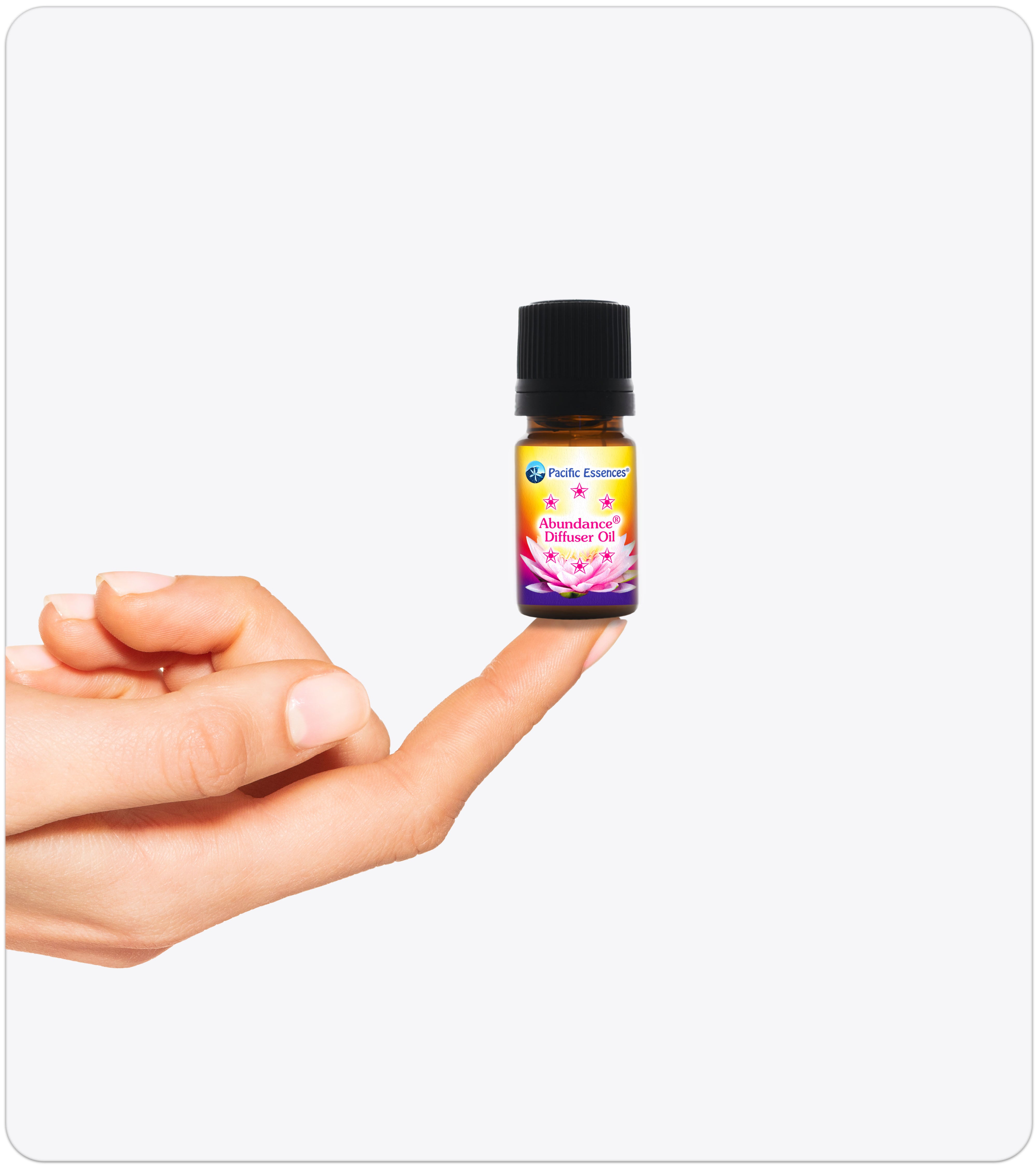 Abundance Diffuser Oil | Combination Essence | Pacific Essences | Infinite Possibilities