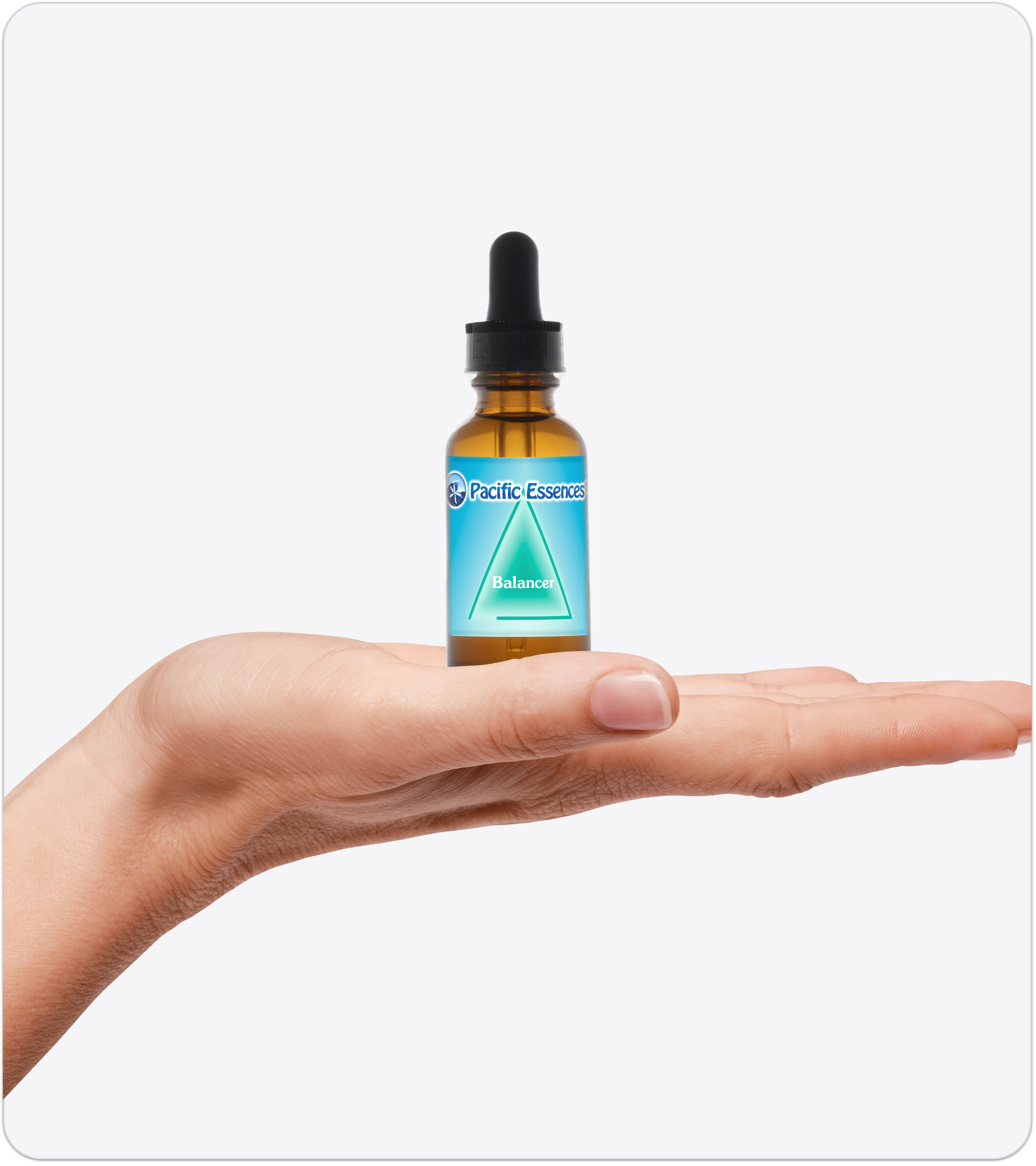 Balancer | Combination Essence | Pacific Essences | Be in The Present Moment